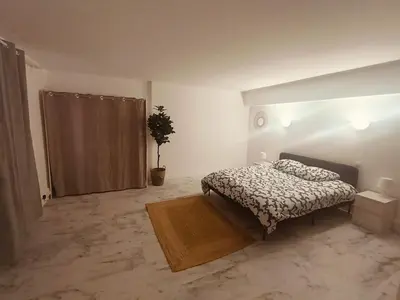 a bedroom with a bed and a potted plant at Superbe appartement T2 de 95 m in Nice