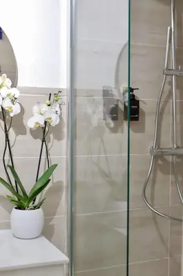 a bathroom with a shower with a vase of flowers at Superbe appartement & proche mer in Nice