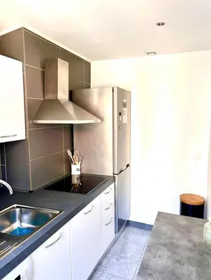 a kitchen with a stainless steel refrigerator and a sink at Residence Lascaris in Nice