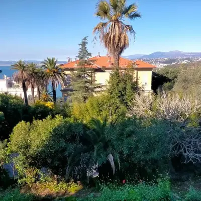 L'Essentiel à Nice