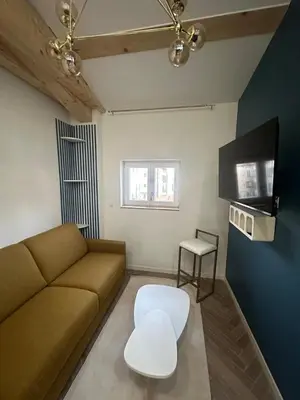 a living room with a couch and a tv at MOON - 45 in Nice