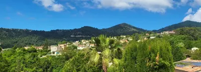 a village on a hill with trees and houses at Vacation location in Tourrette-Levens