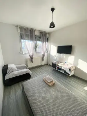 a living room with a bed and a flat screen tv at Bel Appartement 2 pièces - 10min de la mer in Nice