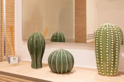 three green cactuses sitting on a shelf in a room at #26 Idealy located flat AC 2mins walk to Sea balcony in Nice