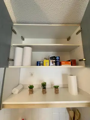 a shelf in a bathroom with three plants on it at Cœur de Nice in Nice