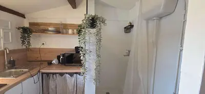 a kitchen with a plant hanging from the wall at Studio Cosy avec vue sur Montagnes, proche Gare in Nice