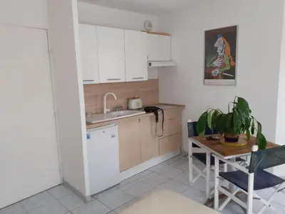 a kitchen with a sink and a table with a plant at Studio 200m mer et promenade des anglais in Nice