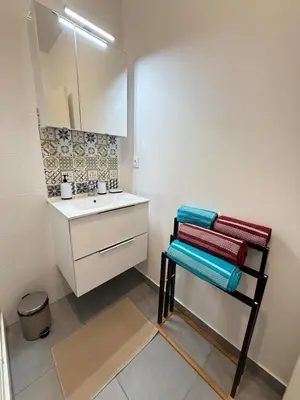 a bathroom with a sink and a mirror and towels at Villa Amira Angely Vauban in Nice