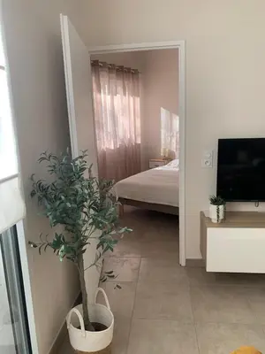 a bedroom with a bed and a potted plant at Nice virgil Barel in Nice