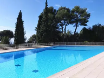 a large blue swimming pool with trees in the background at Le rêve bleu in Nice