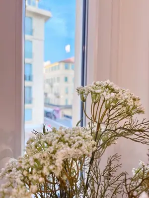 a vase filled with white flowers next to a window at RF109 - Spacieux 4P au cœur de Nice in Nice