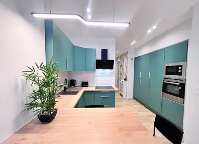 a kitchen with blue cabinets and a potted plant at RF101- Magnifique 3 pièces centre Nice in Nice