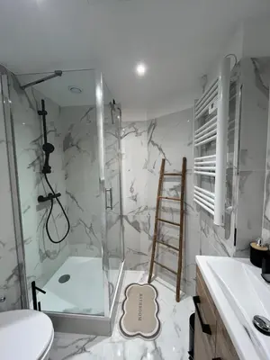a bathroom with a shower and a toilet and a ladder at Studio confort proche du port in Nice