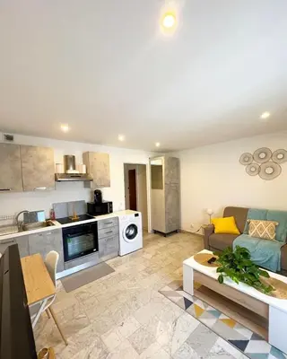 a living room with a couch and a kitchen at Super studio bord de mer, promenade des anglais in Nice