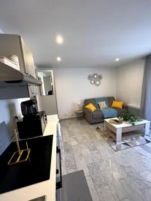 a kitchen and a living room with a couch at Super studio bord de mer, promenade des anglais in Nice
