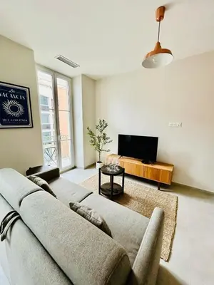 a living room with a couch and a flat screen tv at Charming accommodation in Port de Nice in Nice