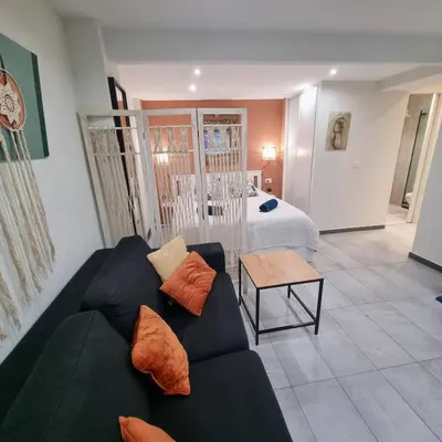 a living room with a couch and a bed at Spacious studio full of charm, recently updated in Nice