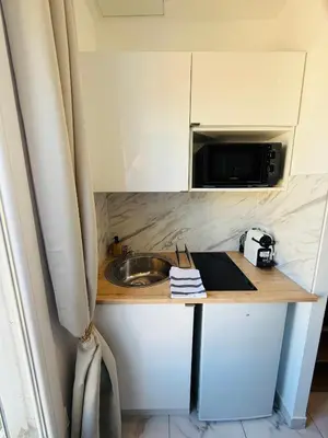 a small kitchen with a sink and a microwave at Sweethome Massena in Nice