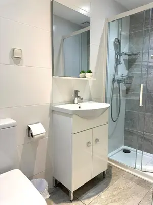 a bathroom with a sink and a shower at Harmonie Nature au cœur de Nice in Nice