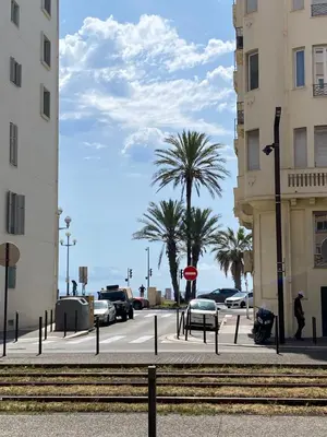 a street with cars parked in a parking lot with palm trees at Spacious 2 BR 1 block from beaches - and the TRAM in Nice