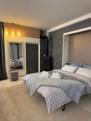 a bedroom with two beds and a mirror at Maison Ariana in Nice