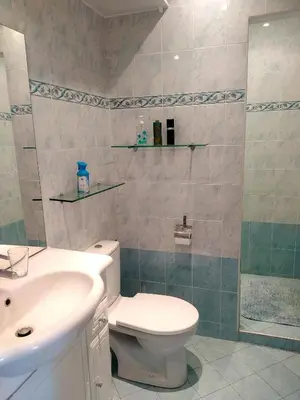 a bathroom with a toilet and a sink and a shower at La plus belle vue de Villefranche in Villefranche-sur-Mer