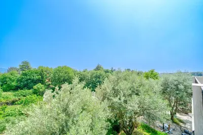 an overhead view of trees and a bridge at Maison niçoise vue dégagée avec jacuzzi privatif in Nice