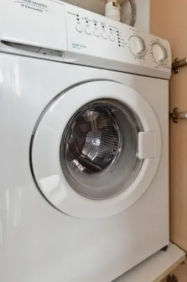 a living room with a plant and a window at L'Azur - Seaview - AC - Tram - WIFI - Airport in Nice