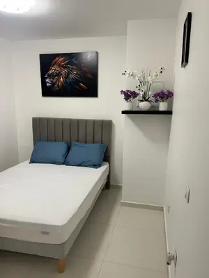 a bedroom with a bed with a painting of a lion at Deux pièces au centre-ville proche des plages et centres commerciaux in Saint-Laurent-du-Var