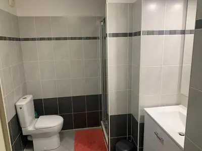 a bathroom with a toilet and a shower and a sink at Joli studio, quartier du port in Nice