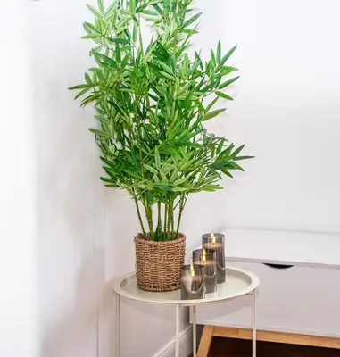 a plant in a basket on a table with candles at Rêve Bleu de Nice - Terrace - Beach & Tram 5 min in Nice