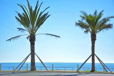 two palm trees with a metal frame in front of the ocean at La Vague Douce in Nice
