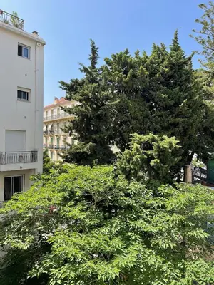a large green tree in front of a building at Super studio Carré d'Or-2 people-Nice in Nice