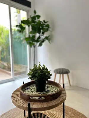 a potted plant sitting on a table in a room at Appartement LOFT in Nice