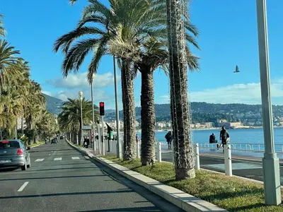 a street with palm trees on the side of a road at Recently renovated apartment in quiet area in heart of Old Nice in Nice
