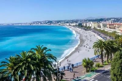 a view of a beach with palm trees and the ocean at Nice et confortable 2 pièces cozy in Nice