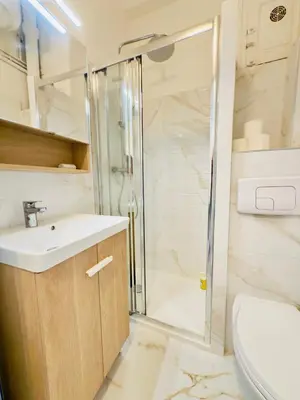 a bathroom with a shower and a sink and a toilet at Petit Bijou 1 Pers Centrale WiFI in Nice