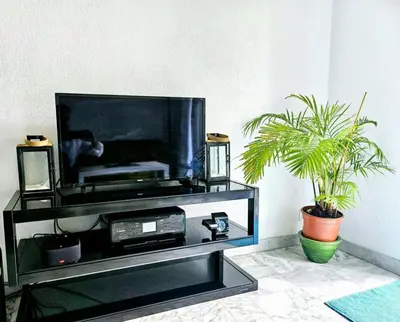 a entertainment center with a television and a potted plant at T1 Bord De Mer Nice West in Nice