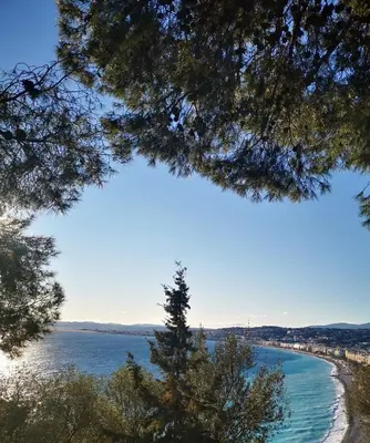 a view of a beach from between two trees at Bohemian style and luminous balcony in Nice