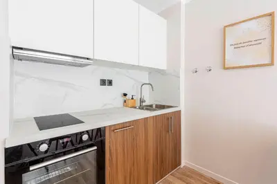 a kitchen with a sink and a stove at Grand studio 4 couchages quartier Musiciens in Nice
