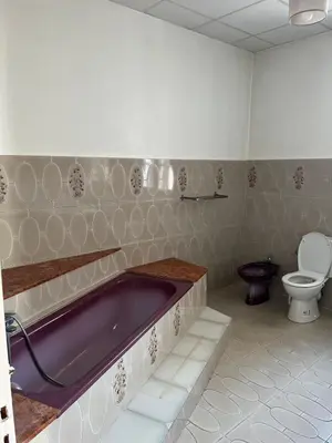 a bathroom with a purple tub and a toilet at Appartement spacieux proche mer idéalement situé in Cagnes-sur-Mer