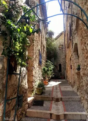 an alley in an old stone building with plants at Plaisirs entre mer et montagne in Aspremont