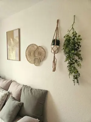 a living room with a couch and plants on the wall at Charming studio in Nice