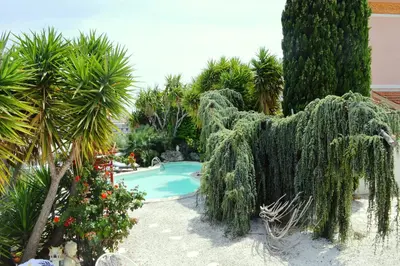 a garden with a swimming pool and trees and plants at Villa le Mazet, Nice, piscine, vue mer, Promenade des Anglais, Baie des Anges in Nice