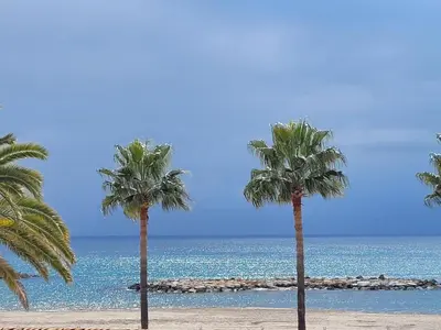three palm trees on a beach near the ocean at SEASIDE VIEW Saint Laurent in Saint-Laurent-du-Var