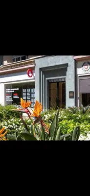a group of orange flowers in front of a building at Le Grand Bourgeois à Nice in Nice