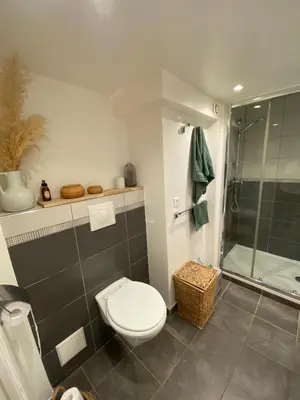 a bathroom with a toilet and a shower at 2 pièces avec balcon au port de Nice in Nice