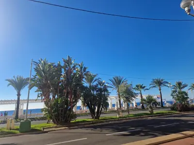 a street with palm trees on the side of a road at Nestor&Jeeves - LADY BLUE - Terrace - Close sea in Nice