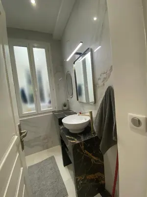 a bathroom with a sink and a mirror at Zgondoiu Résidence in Nice