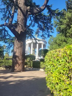 a tree and a white building in a park at Apartment nice view in Nice
